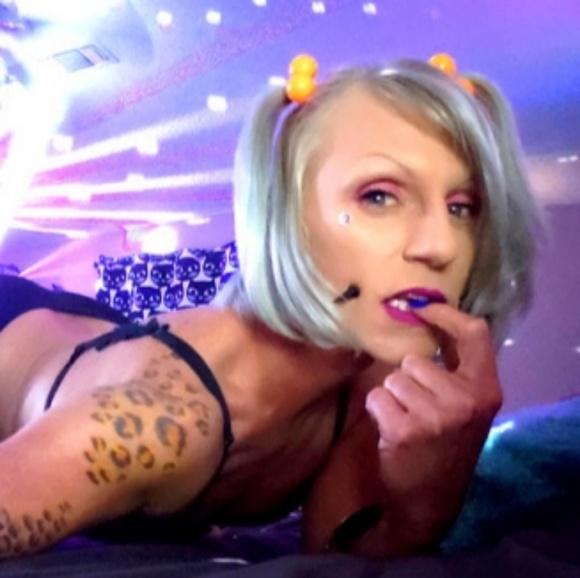 MEET YOUR POSHER FELINE - Picture 4 of 4